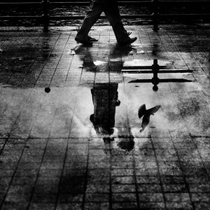 artworks-000041491049-7ag8lx-original